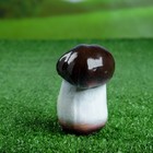 Садовая фигура "Гриб-боровик" 11х6х6см - Фото 2
