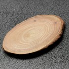 Спил дерева "Лиственницы", овальный, d=3-4 см, h=3,5 мм - фото 320609915