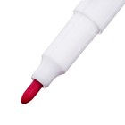 Фломастеры 24 цвета "Мышка", в пластиковом пенале с ручкой, вентилируемый колпачок - Фото 4