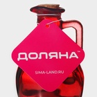 Бутылка для соусов и масла Доляна «Олио», 200 мл, h=12 см, стекло, красная - Фото 6