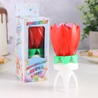 Свеча для торта музыкальная «Тюльпан», крутящаяся, красная, 14.5×6 см - Фото 5