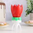 Свеча для торта музыкальная «Тюльпан», крутящаяся, красная, 14.5×6 см - Фото 6