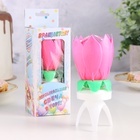 Свеча для торта музыкальная «Тюльпан», крутящаяся, розовая, 14.5×6 см - Фото 5