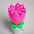 Свеча для торта музыкальная "Тюльпан", крутящаяся, розовая, 14,5×6 см - фото 9405922