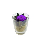 Композиция в стеклянном стакане, роза лиловая, 7,1 х 7,1 х 8,3 - Фото 1