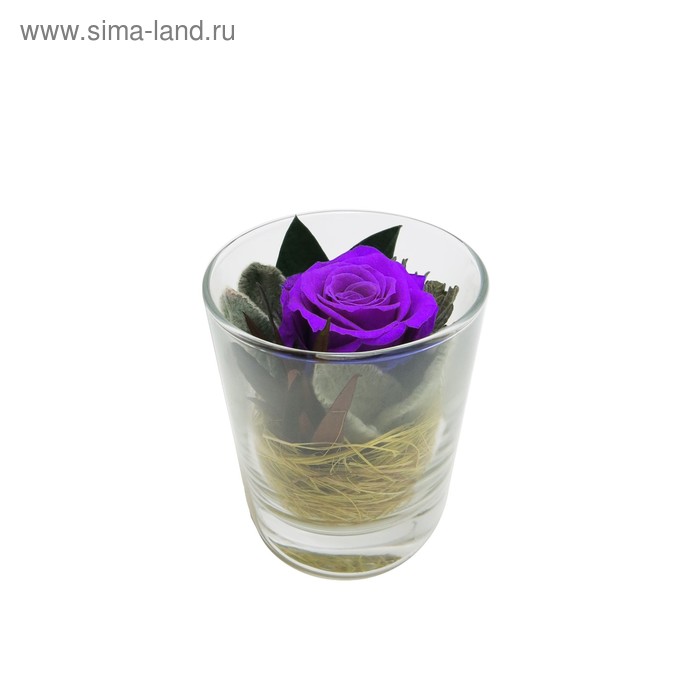 Композиция в стеклянном стакане, роза лиловая, 7,1 х 7,1 х 8,3 - Фото 1