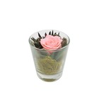 Композиция в стеклянном стакане, роза персиковая, 7,1 х 7,1 х 8,3 - Фото 1