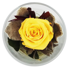 Композиция в стеклянном стакане, роза желтая, 7,1 х 7,1 х 8,3 - Фото 2