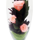 Композиция в вазе "Мунглинг", розы персиковые, 10 х 10 х 25 см - Фото 3