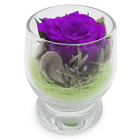 Композиция в стеклянном стакане "Акватик", роза лиловая, 6,5 х 6,5 х 8,5 см - Фото 1