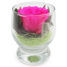 Композиция в стеклянном стакане "Акватик", роза ярко-розовая, 6,5 х 6,5 х 8,5 см - Фото 1