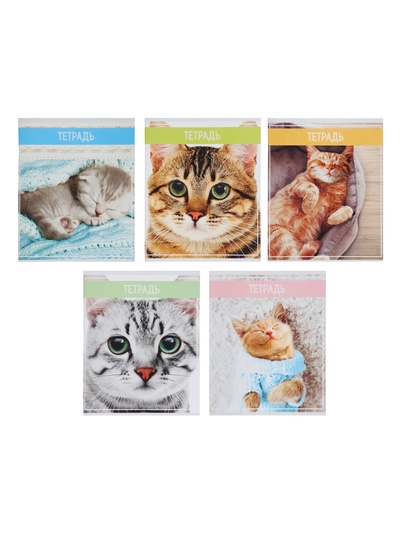 Тетрадь 36 листов в клетку, Calligrata «Кошки», МИКС