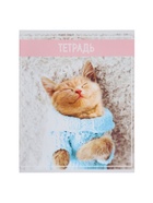 Тетрадь 36 листов в клетку, Calligrata «Кошки», МИКС 3001747 - фото 5802922