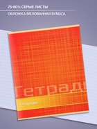 Тетрадь 48 листов в линейку, Calligrata «Цвет и графика», серые листы, МИКС - Фото 2