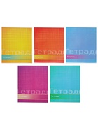 Тетрадь 48 листов в линейку, Calligrata «Цвет и графика», серые листы, МИКС - Фото 3