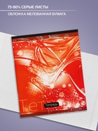 Тетрадь 48 листов в клетку, Calligrata «Авокадо», МИКС - Фото 2