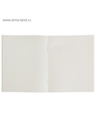 Тетрадь 48 листов в клетку, Calligrata «Авокадо», МИКС - Фото 4