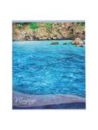 Тетрадь 48 листов в клетку, Calligrata «Океан», МИКС - Фото 2