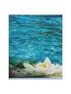 Тетрадь 48 листов в клетку, Calligrata «Океан», МИКС - Фото 5