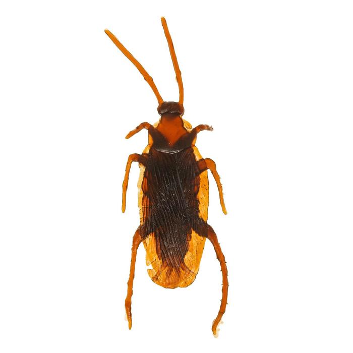 Прикол «Таракан», набор 12 шт. - Фото 1