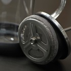 Чайник заварочный френч-пресс «Келли», 350 мл, стекло, чёрный, рисунок МИКС - Фото 2