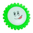 Ночник пластик от сети "Цветы на цветке" МИКС 7,5х7,5х2,7 см RISALUX - Фото 8