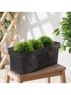 Ящик балконный для цветов «Эко», 8 л, 40×17×15.5 см, пластиковый, цвет тёмный гранит - Фото 8