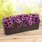 Ящик балконный для цветов «Эко», 12 л, 60×17×15.5 см, пластиковый, МИКС - Фото 6