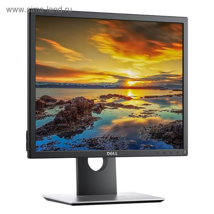 Монитор Dell 19" P1917S  IPS LED 5:4 HDMI HAS Pivot 250cd 178/178 1280x1024 D-Sub DP  USB - Фото 1