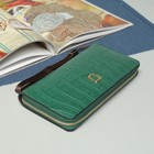 Кошелёк женский, 5 отделов, для карт, для монет, на молнии, с ручкой, цвет зелёный - Фото 1