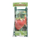 Кустодержатель для клубники, d = 11 см, пластик, набор 10 шт., цвет МИКС - Фото 11