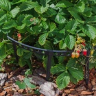 Кустодержатель для клубники, d = 11 см, пластик, набор 10 шт., цвет МИКС - Фото 13