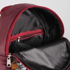 Сумка-рюкзак молодёжный "Зимний сад", отдел на молнии - Фото 5