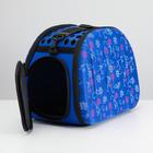 Складная сумка-переноска с отдельным входом, материал EVA, 43,5 х 28 х 33 см, синяя - Фото 5