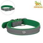 Ошейник «Лапки», 69×3 см, искусственная кожа, зелёный - Фото 2