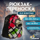 Рюкзак для переноски кошек и собак «Штрихи», 32×22×43 см, с окном - Фото 3
