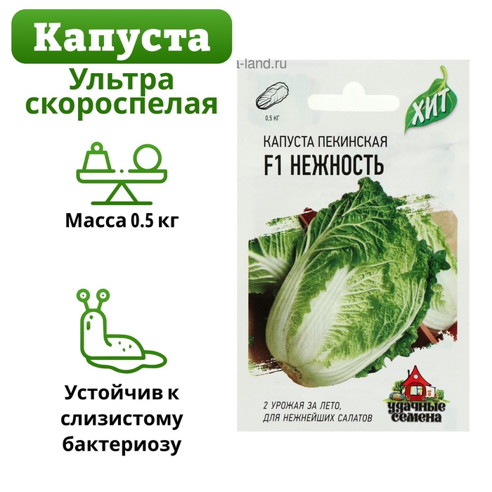 Семена Капуста пекинская "Нежность" F1, ц/п, 0,1 г серия ХИТ х3 - Фото 1