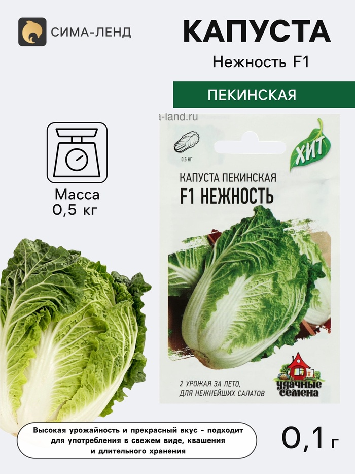 Семена Капуста пекинская «Нежность», F1, 0.1 г, «Удачные семена» - Фото 1