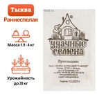 Семена Тыква "Россиянка", б/п, 1,5 г - Фото 1