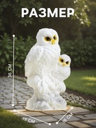 Садовая фигура из гипса «Совы полярные», 36×18×19 см - Фото 2