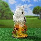 Садовая фигура "Сова с букетом роз" белая, 26см - Фото 8