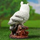 Садовая фигура "Сова с букетом роз" белая, 26см - Фото 3