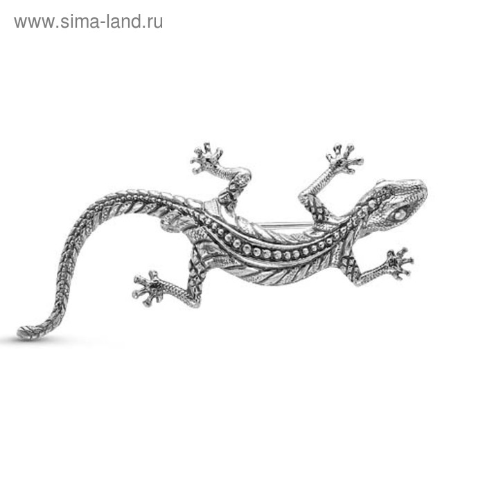 Брошь «Ящерица», посеребрение с оксидированием - Фото 1