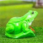 Садовая фигура "Лягушка с лотосом" малая 18х18см - Фото 3