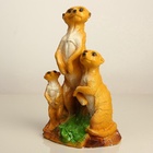 Садовая фигура из гипса «Сурикаты», 36.5×14×22 см - Фото 13