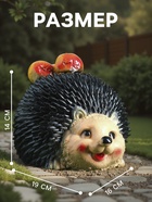 Садовая фигура из гипса «Еж с яблоками», 14×19×16 см - Фото 2