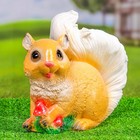 Садовая фигура из гипса «Белка с грибочками», 30×23 см - Фото 1