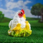 Садовая фигура "Курица наседка с цыплятами" белая, 28х21см - Фото 2