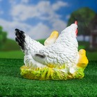 Садовая фигура "Курица наседка с цыплятами" белая, 28х21см - Фото 3