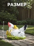 Садовая фигура из гипса «Курица наседка с цыплятами», 22×20×30 см - Фото 2